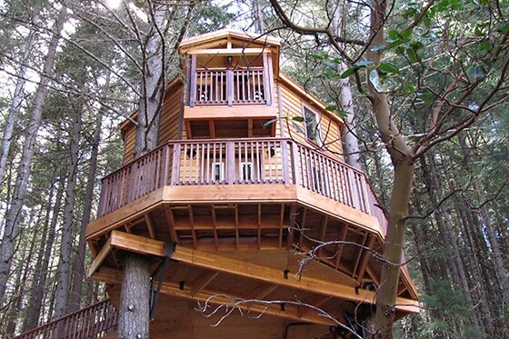 Vertical Horizons Treehouse