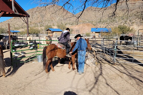 Joshua Tree Horseback Riding Tour & Lunch with the Singing Cowboy