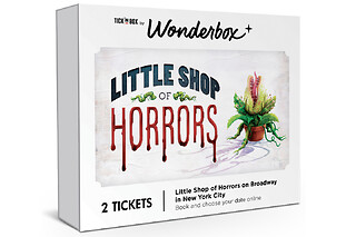 Little Shop Of Horrors The Broadway Show