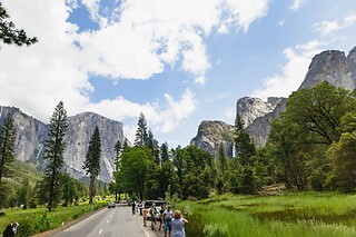 Muir Woods & Sausalito Half Day AM/PM and 4h Bike rental