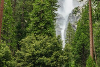 Muir Woods & Sausalito Half Day AM/PM and 4h Bike rental