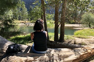 Muir Woods & Sausalito Half Day AM/PM and 4h Bike rental