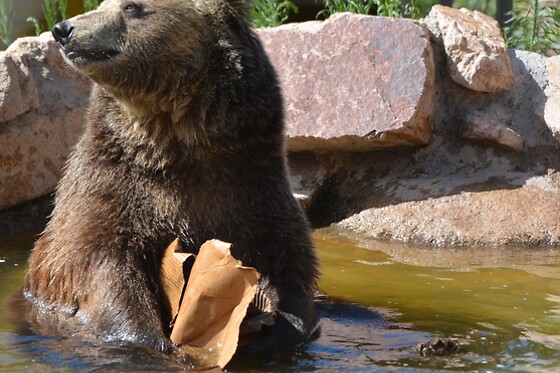 Wildlife Haven Tour: Keeper of the Wild Sanctuary