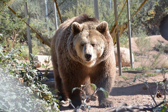 Wildlife Haven Tour: Keeper of the Wild Sanctuary