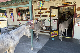 Tour of Oatman Mining Village and Route 66