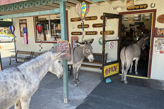 Tour of Oatman Mining Village and Route 66