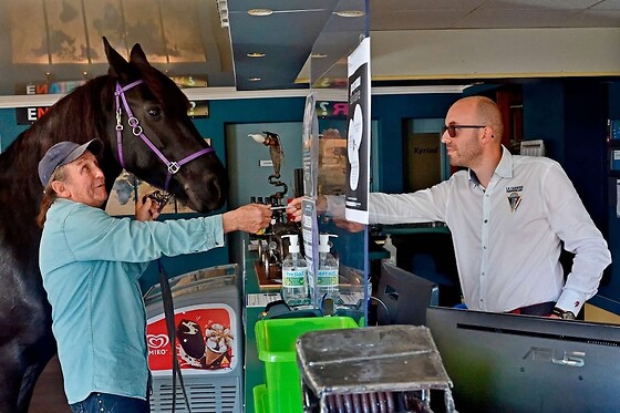 Online Booking EPS - photo 3