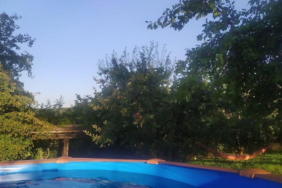 Online Booking EPS - photo 3