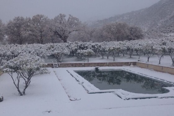 Online Booking EPS - photo 3