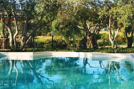 Online Booking EPS - photo 0
