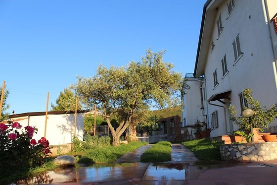 Online Booking EPS - photo 0
