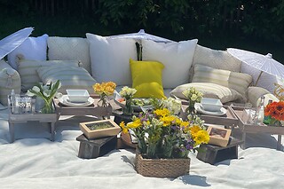 Picnic for 15 at PICNYC