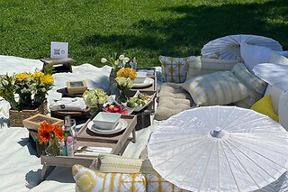 Picnic for 15 at PICNYC