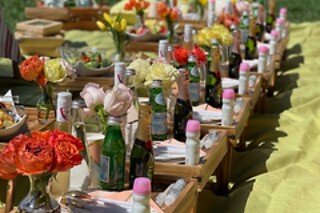 Picnic for 15 at PICNYC