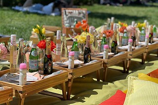 Picnic for 15 at PICNYC