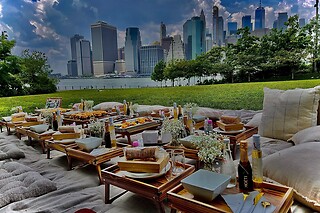 Picnic for 15 at PICNYC