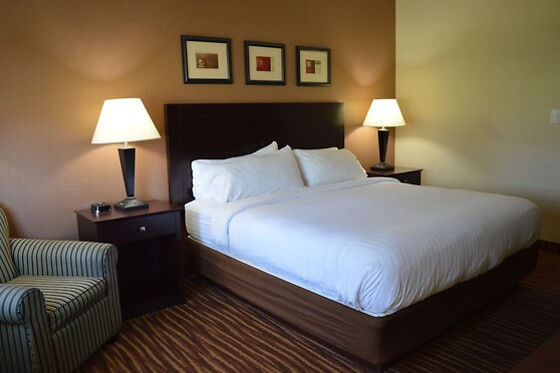 Online Booking EPS - photo 10