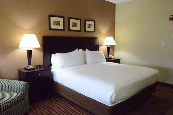 Online Booking EPS - photo 9