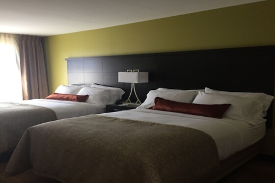 Online Booking EPS - photo 5