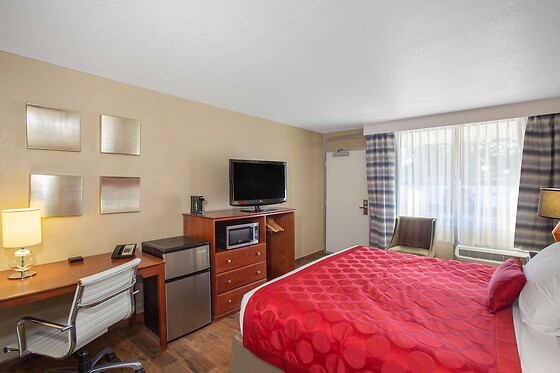 Online Booking EPS - photo 7