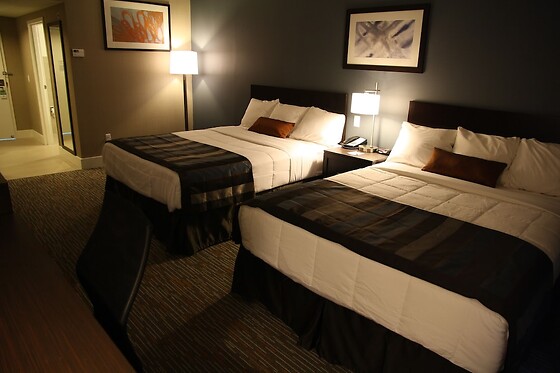 Online Booking EPS - photo 4