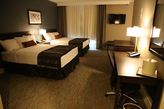 Online Booking EPS - photo 5