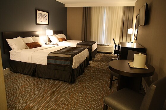 Online Booking EPS - photo 9