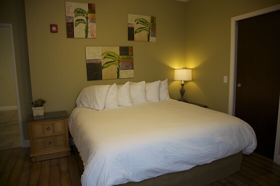 Online Booking EPS - photo 5