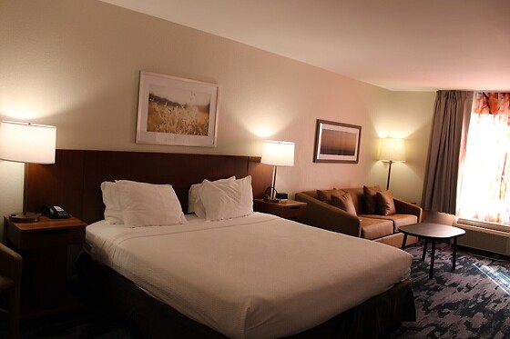 Online Booking EPS - photo 5