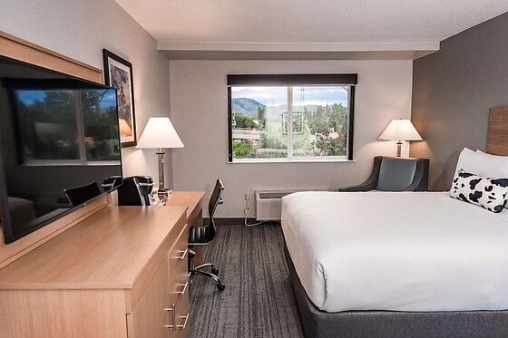 Online Booking EPS - photo 0