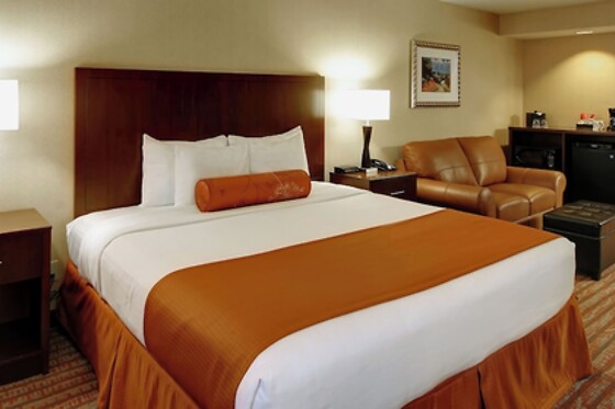 Online Booking EPS - photo 8