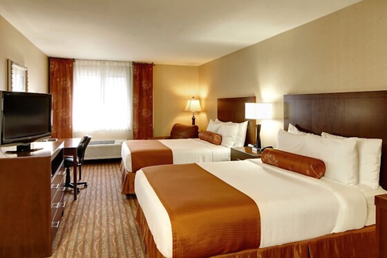 Online Booking EPS - photo 3