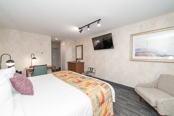 Online Booking EPS - photo 2