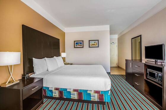 Online Booking EPS - photo 7