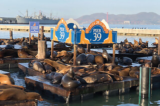 Alcatraz & 2-Day Hop-On Hop-Off & Night Tour