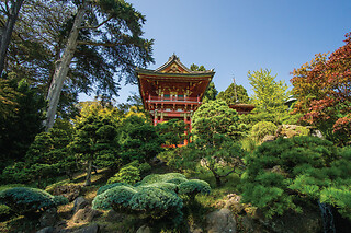 1 Day Hop-On Hop-Off Tour