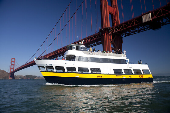 Bus & Boat Adventure (1-Day Hop-On Hop-Off + Bay Cruise)
