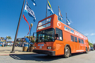 Bus & Boat Adventure (1-Day Hop-On Hop-Off + Bay Cruise)