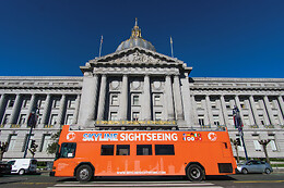 Skyline Sightseeing