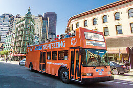 Skyline Sightseeing