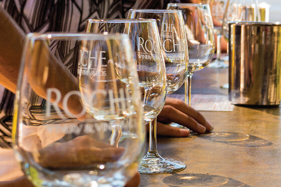 Full Day Wine Country Tour (Sonoma Valley & Napa Valley)