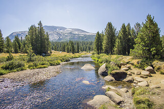 Yosemite National Park Tour