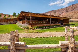 Colorado River Full-Day Rafting Adventure with Exclusive BBQ Lunch for 1 person