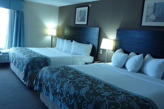 Online Booking EPS - photo 3