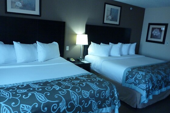 Online Booking EPS - photo 7