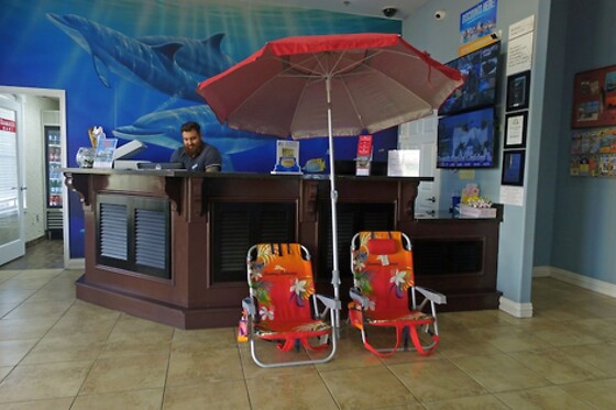 Online Booking EPS - photo 2