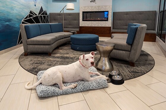 Online Booking EPS - photo 9