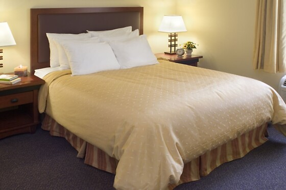 Online Booking EPS - photo 5