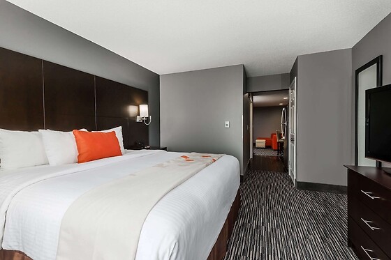 Online Booking EPS - photo 3