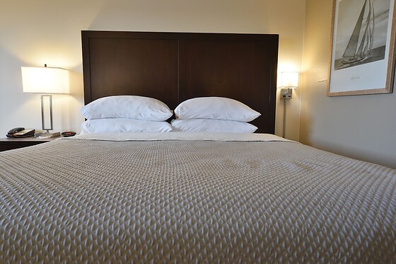 Online Booking EPS - photo 9